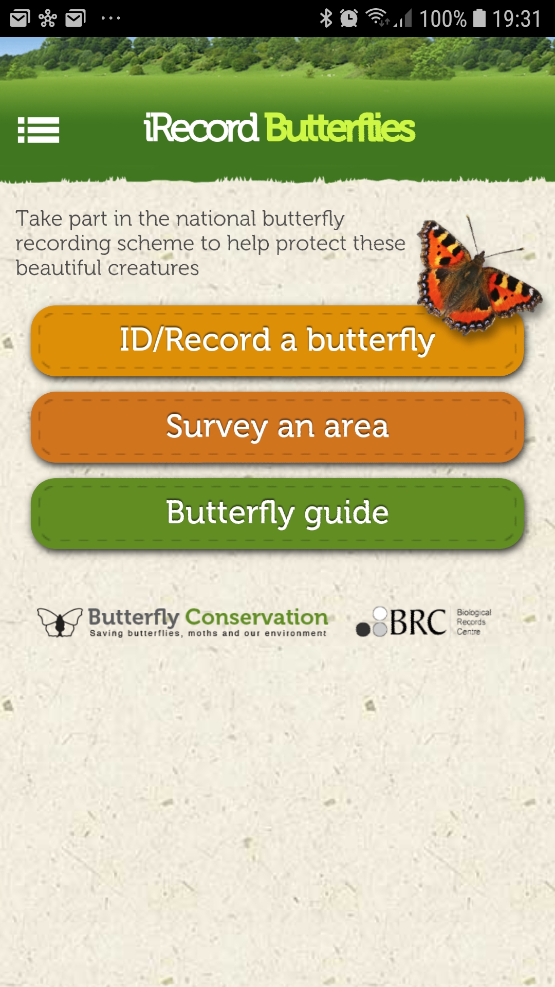 Batterfly 1